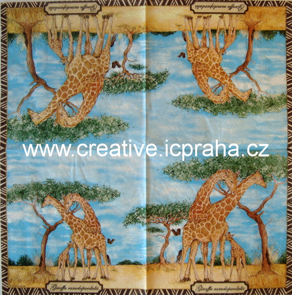 safari - žirafí rodina  AMB 4915